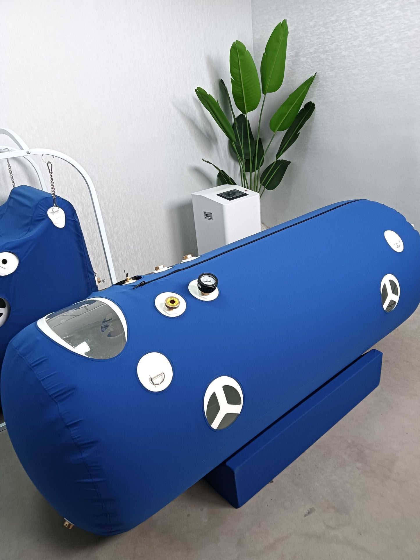 Vault of Wellness Hyperbaric Oxygen Therapy Chamber